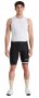 Шорты Specialized Sagan Collection SL Bib Short 64521-102 №3