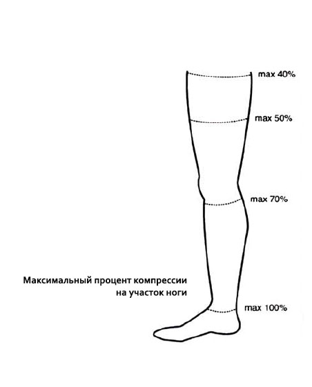 Нога Названия Частей Фото