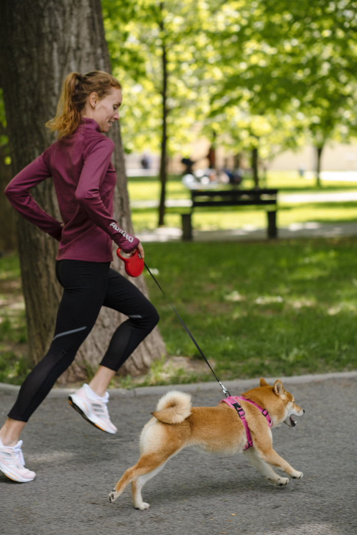 Можно ли выходить на пробежку с собакой? | Интернет-магазин Runlab